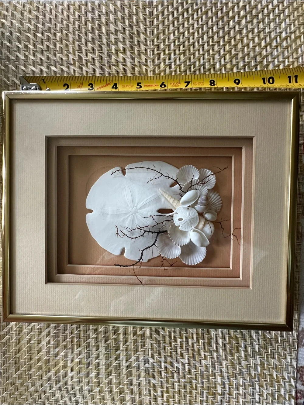Gold framed shadow box wall art with sand dollar and shells